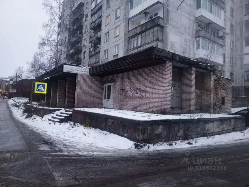 Помещение свободного назначения в Ленинградская область, Выборг ул. ... - Фото 1