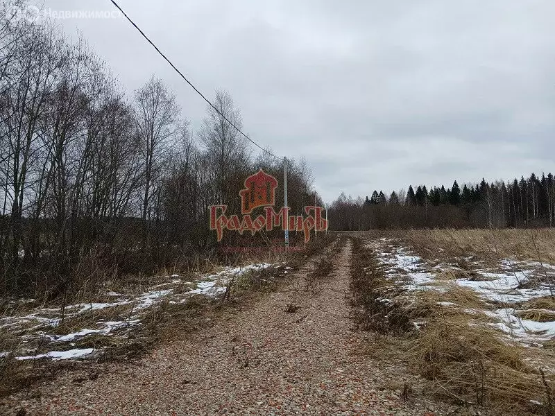 Участок в Талдомский городской округ, деревня Наговицино (15 м) - Фото 0