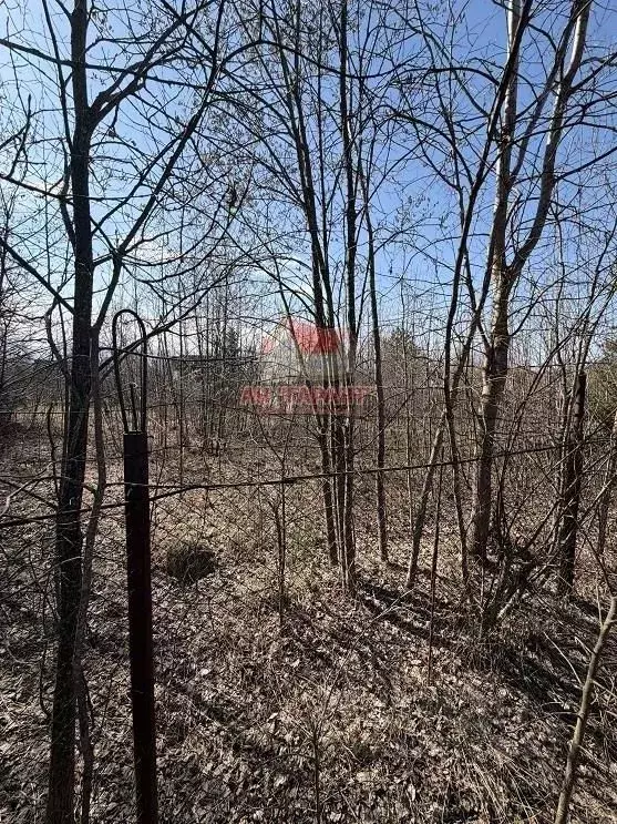 Участок в Владимирская область, Александров Восовец СНТ,  (5.0 сот.) - Фото 2