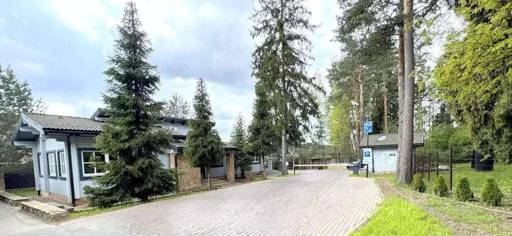 Участок в Москва Сосновый Бор кп,  (47.45 сот.) - Фото 0