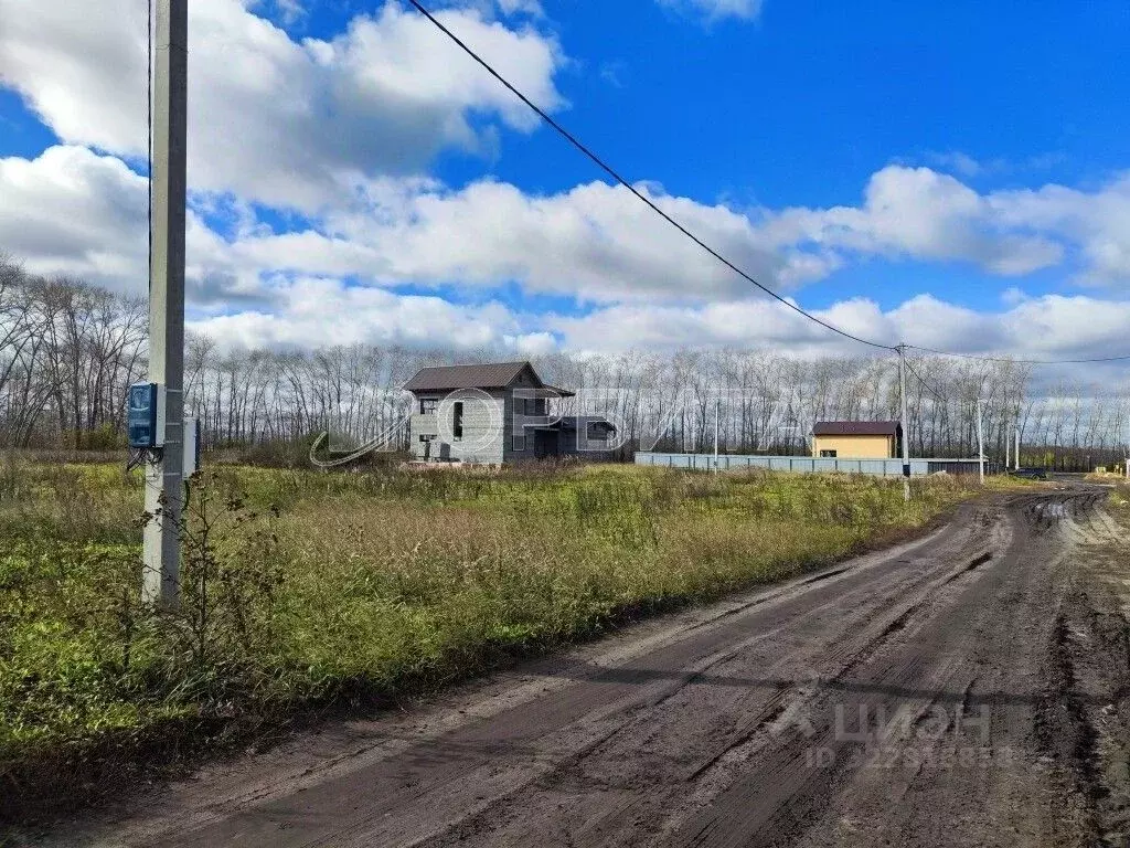 Участок в Тюменская область, Тюменский муниципальный округ, с. Луговое ... - Фото 1