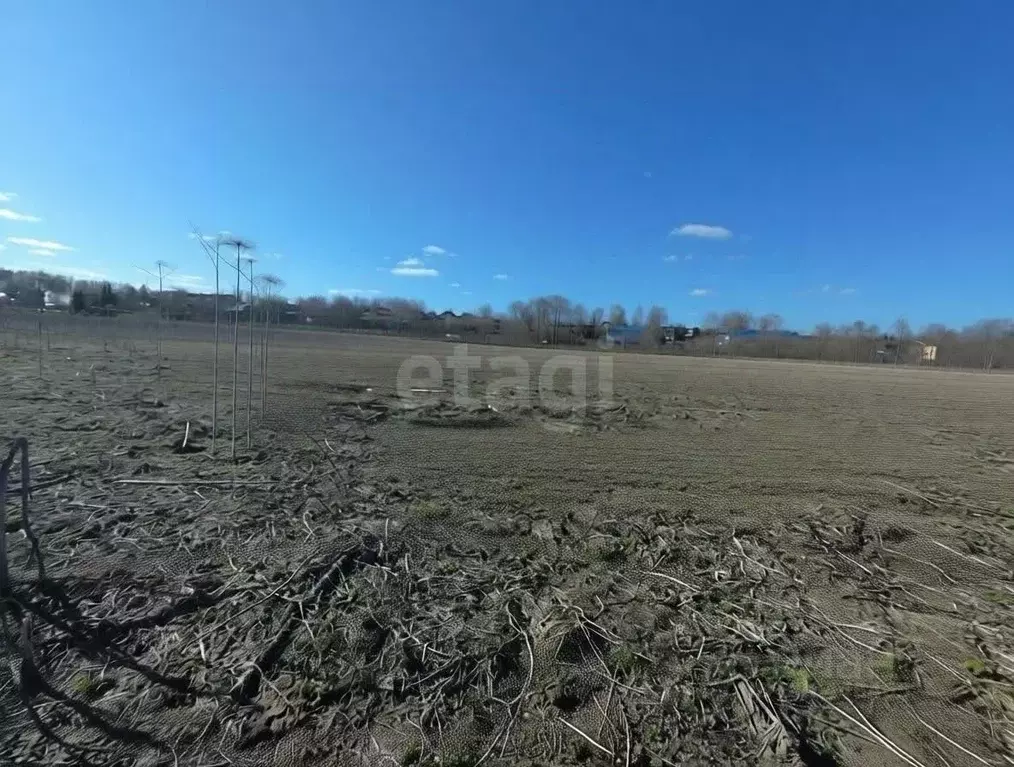 Участок в Коми, Сыктывдинский район, с. Выльгорт  (10.0 сот.) - Фото 2