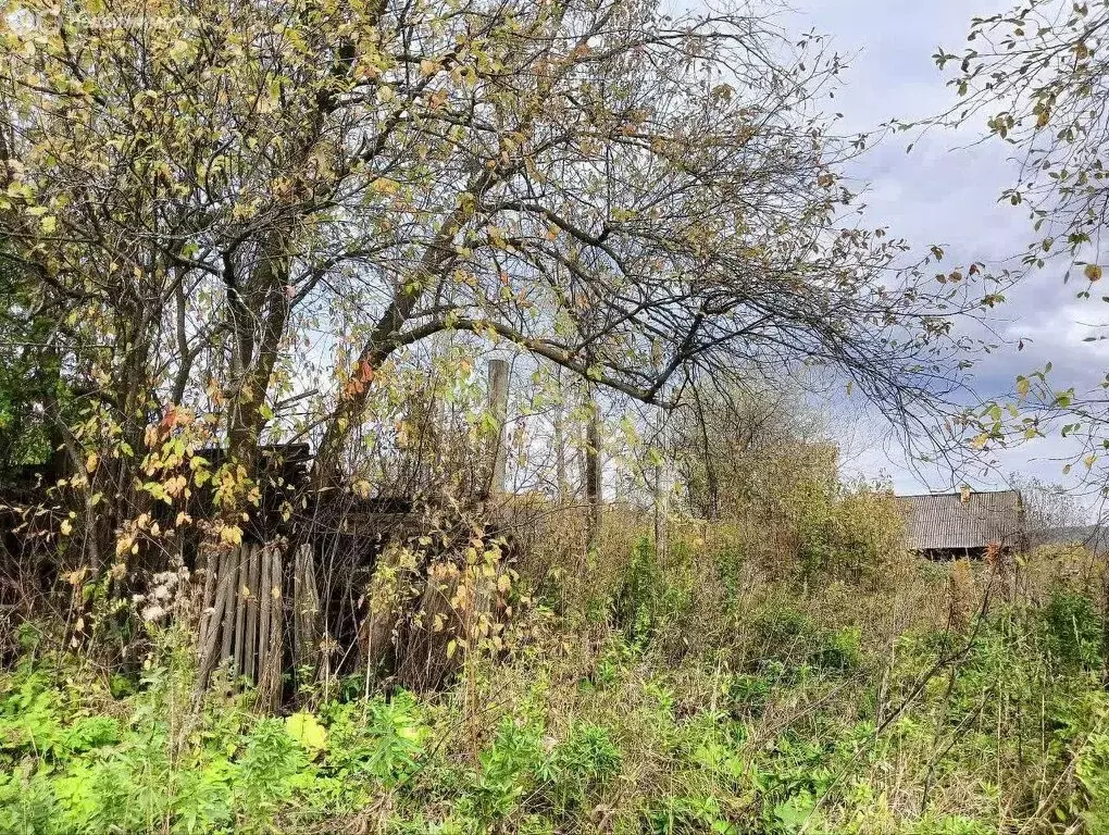 Дом в Медведевка, улица Свердлова (39.1 м) - Фото 1