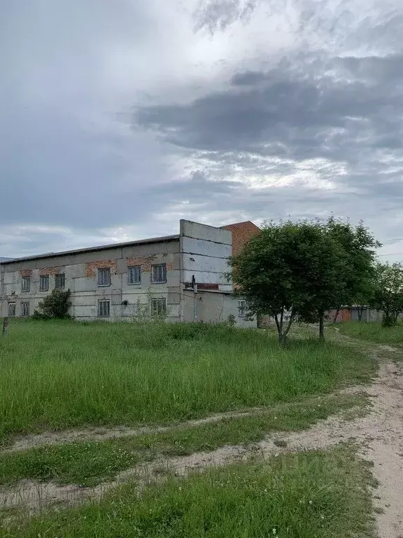 Помещение свободного назначения в Чувашия, Ядрин ул. Энтузиастов, 4 ... - Фото 1