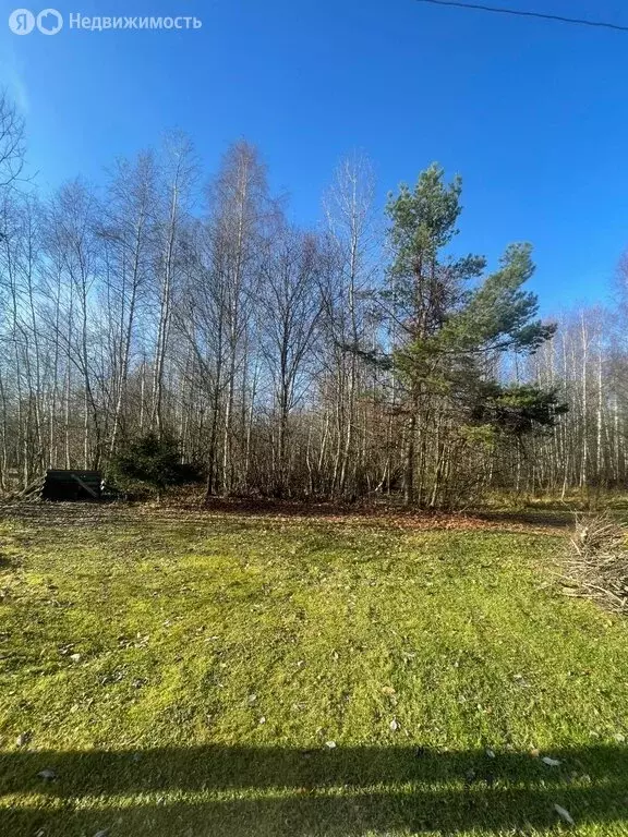 Участок в Владимирская область, Александровский муниципальный округ, ... - Фото 2