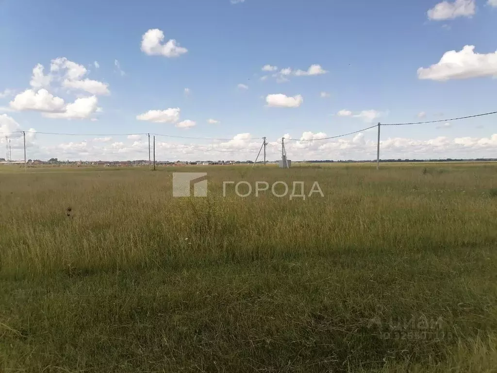Участок в Новосибирская область, Новосибирский район, Толмачевский ... - Фото 2