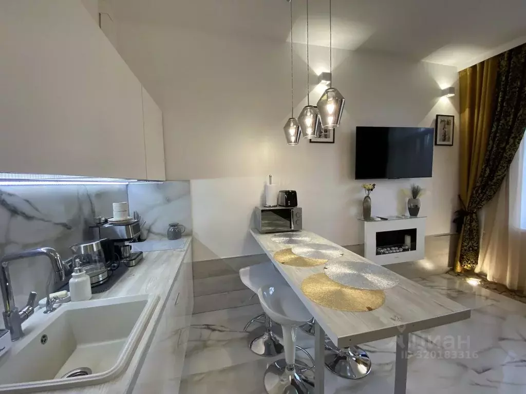 2-к кв. Московская область, Звенигород Одинцовский городской округ, ... - Фото 2