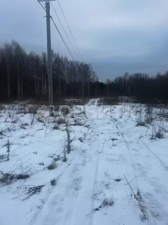 Участок в Тюменская область, Тюменский район, с. Горьковка Сибирская ... - Фото 1