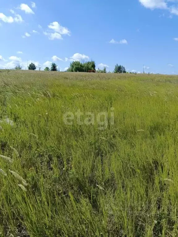 Участок в Белгородская область, Белгород ул. Виктора Лосева (15.3 ... - Фото 1