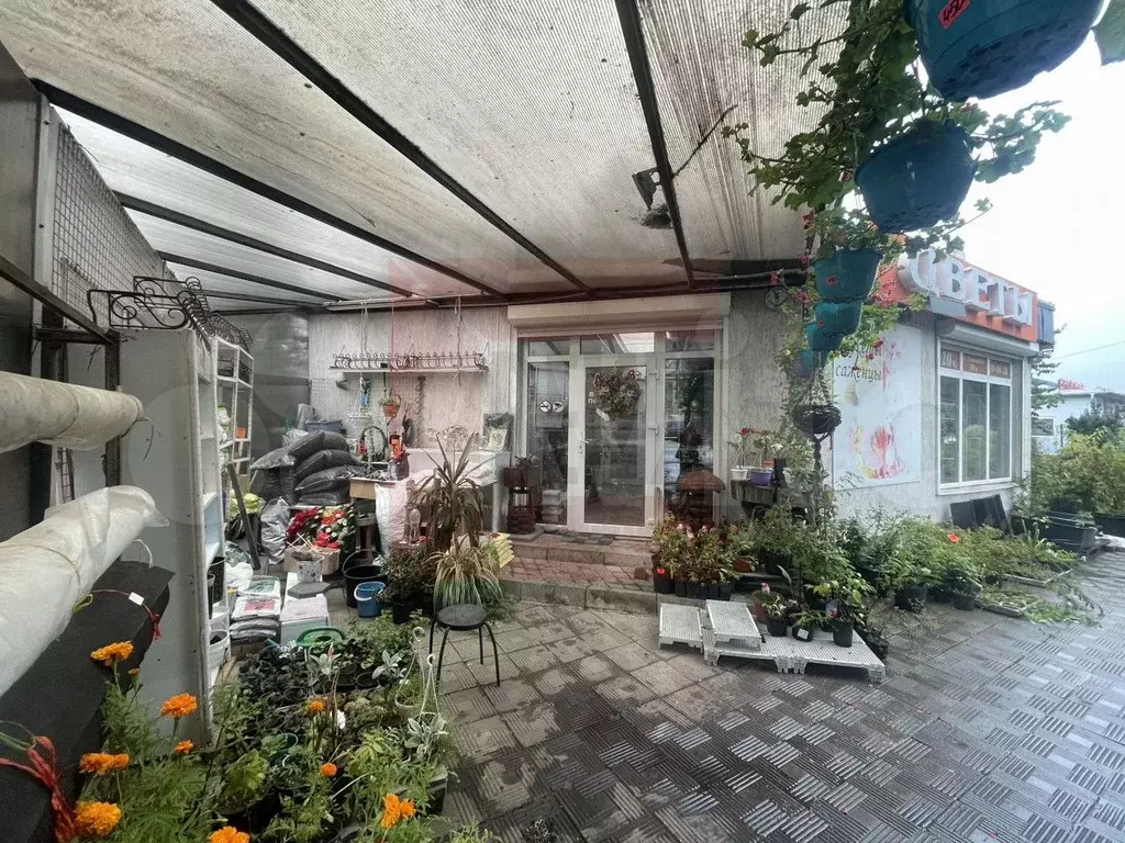 Сдам помещение свободного назначения, 50.2 м - Фото 0