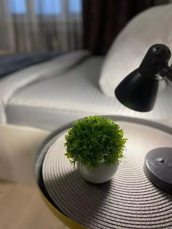 1-к кв. Пермский край, Пермь ш. Космонавтов, 118 (31.0 м) - Фото 2