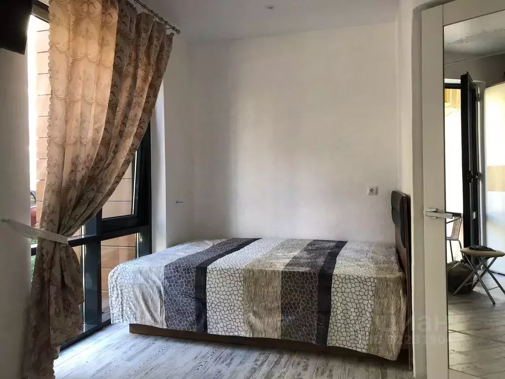 1-к кв. Краснодарский край, Сочи ул. Ленина, 219А/1к3 (20.0 м) - Фото 2