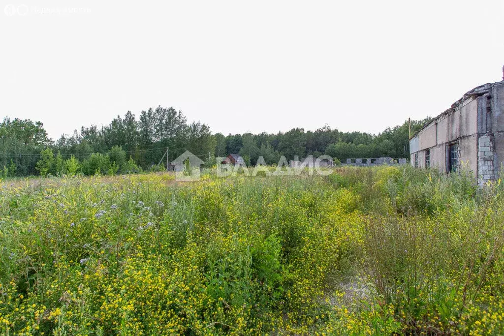 Участок в Юрьев-Польский район, муниципальное образование ... - Фото 0