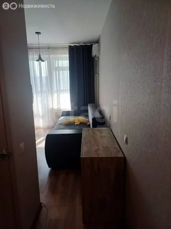 Квартира-студия: Воронеж, улица Независимости, 84/4 (20 м) - Фото 1