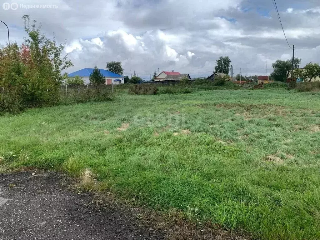 Участок в Омская область, село Азово (11 м) - Фото 0