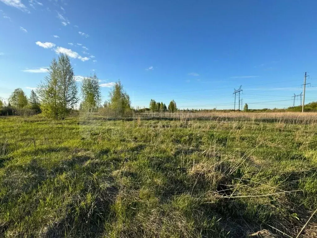 Участок в Тюменская область, Тюменский район, с. Борки  (11.7 сот.) - Фото 0