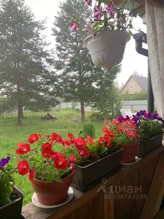 Дом в Ленинградская область, Гатчинский муниципальный округ, Новинка ... - Фото 2