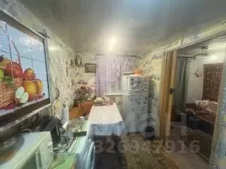 Дом в Белгородская область, Корочанский район, Проходенское с/пос, с. ... - Фото 2