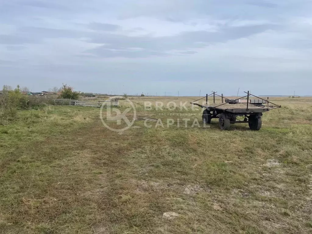 Участок в Новосибирская область, Ордынский район, с. Новопичугово ул. ... - Фото 0