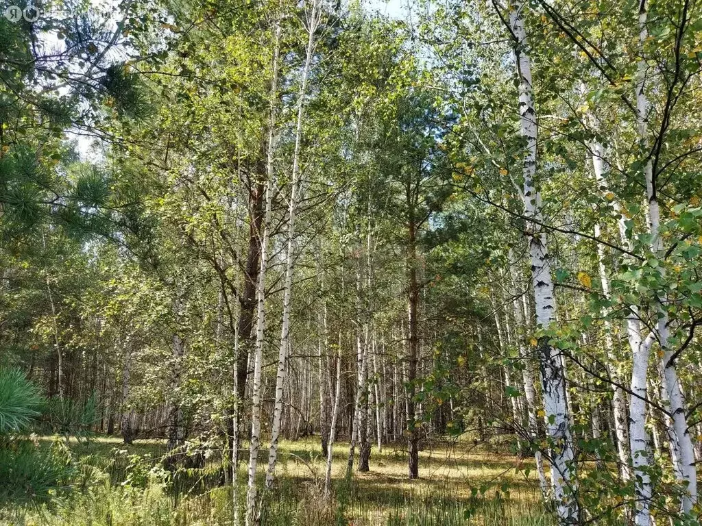 Участок в Курган, Шепотковская улица (14 м) - Фото 2