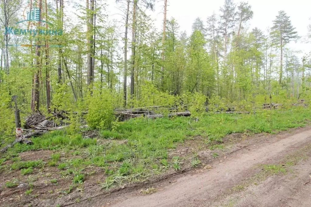 Участок в Ульяновская область, Димитровград ш. Западное (10.0 сот.) - Фото 2