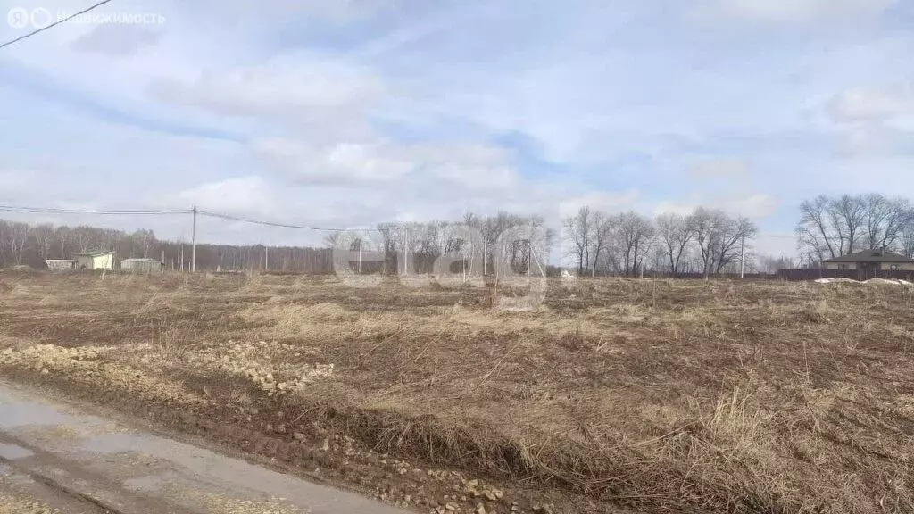 Участок в Тульская область, муниципальное образование Тула, деревня ... - Фото 1