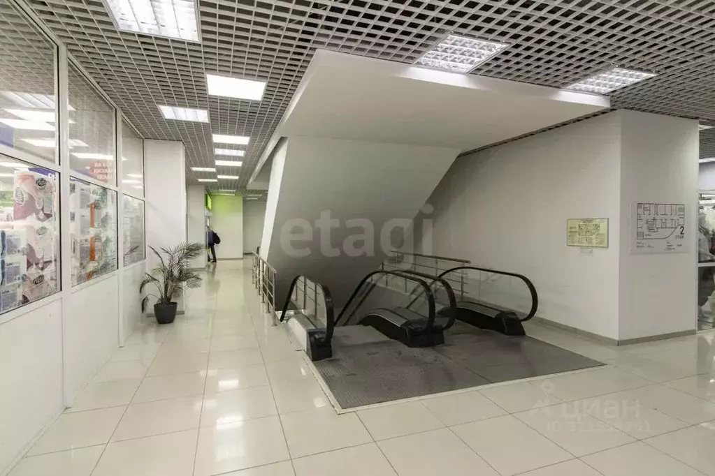 Помещение свободного назначения в Тюменская область, Тюмень ул. ... - Фото 0