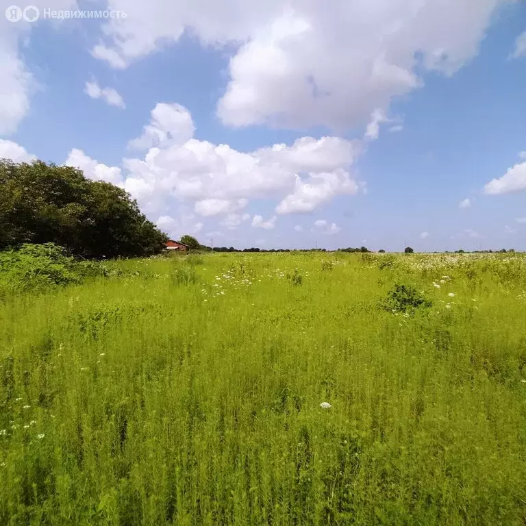 Участок в Владикавказ, улица Тельмана (6 м) - Фото 1