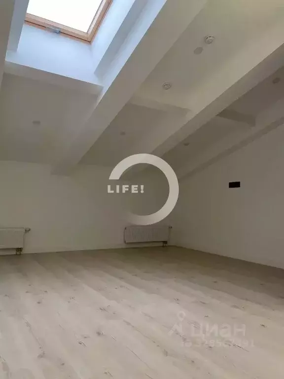 Студия Санкт-Петербург 4-я Васильевского острова линия, 51 (24.4 м) - Фото 1