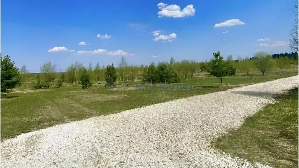 Участок в Нижегородская область, Богородский муниципальный округ, д. ... - Фото 2