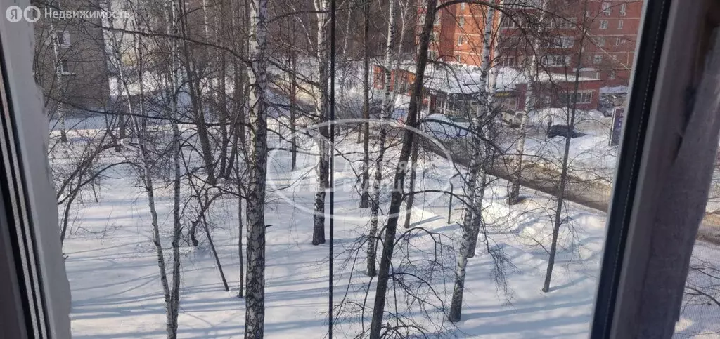 1-комнатная квартира: Чайковский, улица Кабалевского, 26 (17.3 м) - Фото 1