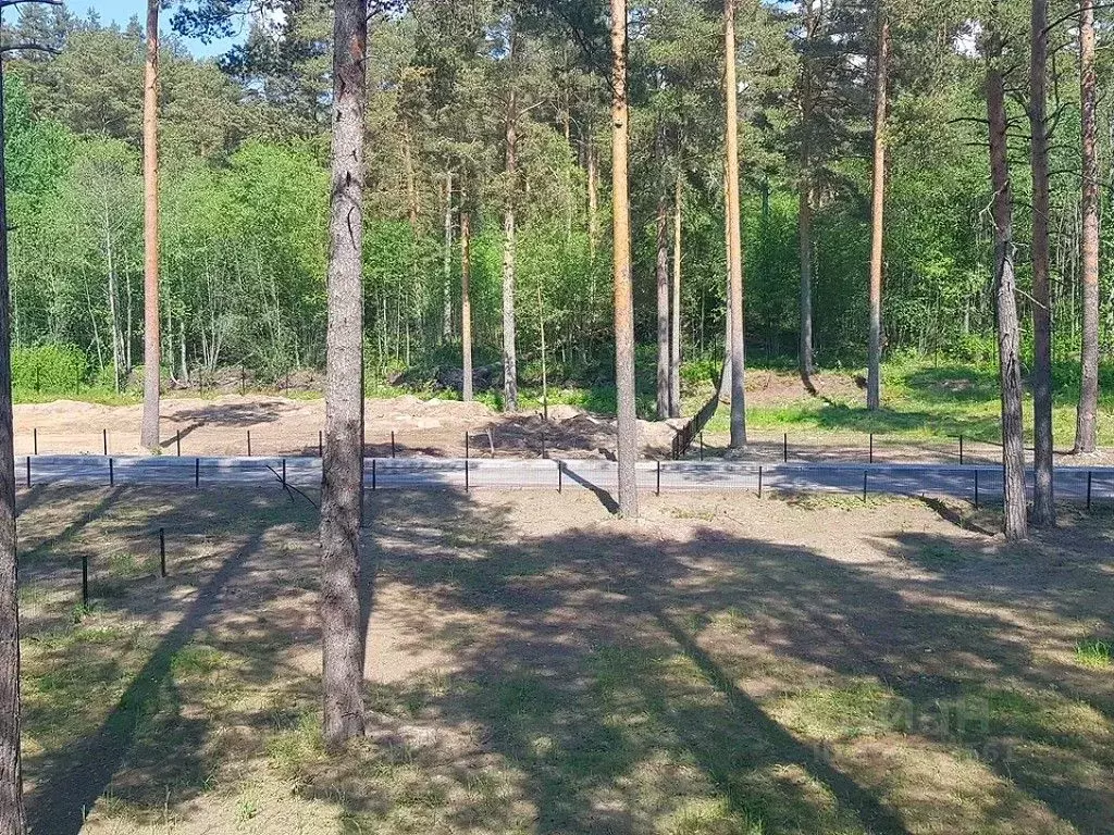 Участок в Ленинградская область, Приозерский район, Громовское с/пос, ... - Фото 1