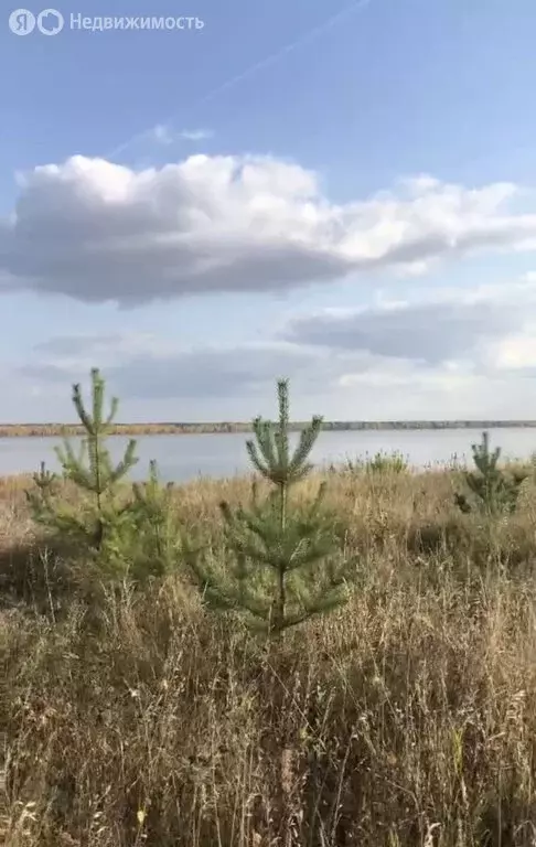 Участок в село Сингуль Татарский, Новая улица (5.87 м) - Фото 1