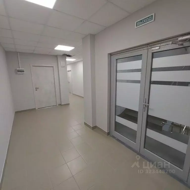 Офис в Новосибирская область, Новосибирск Красный просп., 184/1 (47 м) - Фото 2