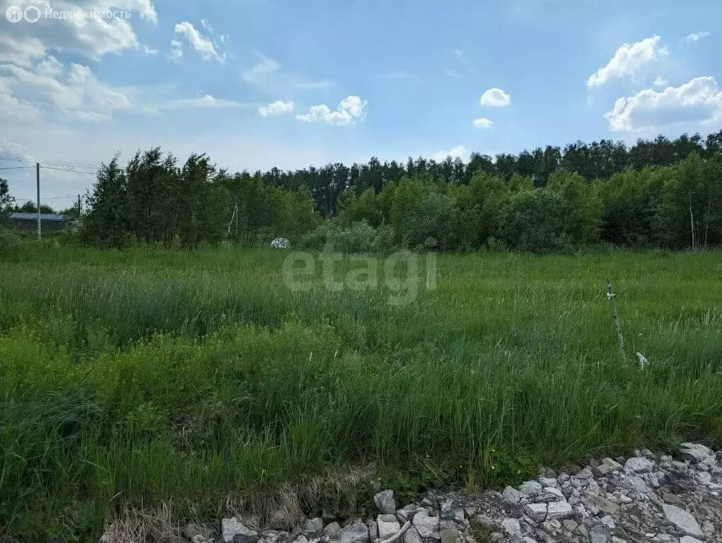 Участок в Московская область, городской округ Истра, деревня Еремеево ... - Фото 1