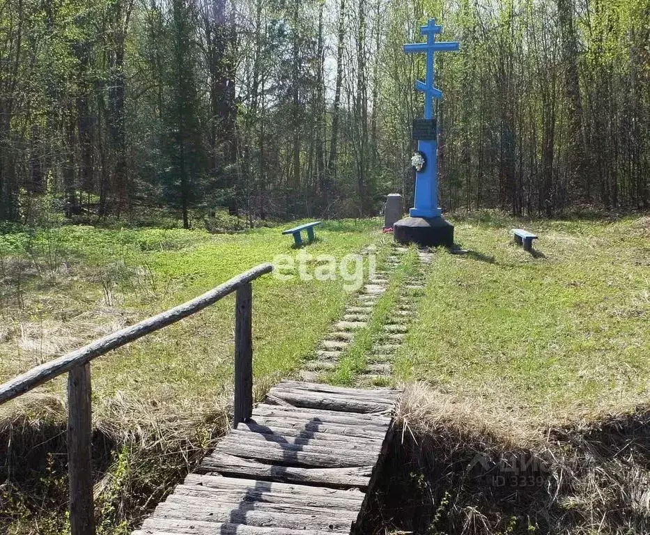 Участок в Владимирская область, Кольчугинский муниципальный округ, с. ... - Фото 2