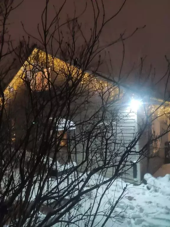 Дом в Санкт-Петербург пос. Парголово, 1-й пер., 7 (65 м) - Фото 2