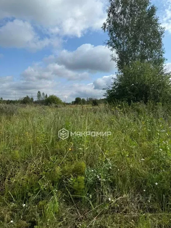 Участок в Новосибирская область, Мошковский район, Дружба-2 садовое ... - Фото 1