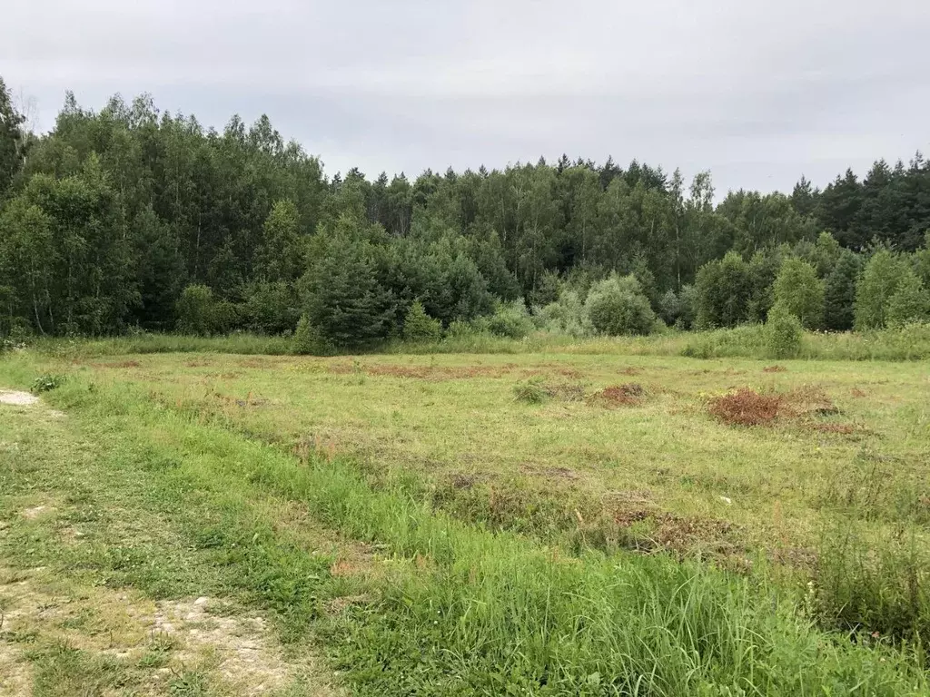 Участок в Тульская область, Заокский район, Страховское с/пос, На Оке ... - Фото 1