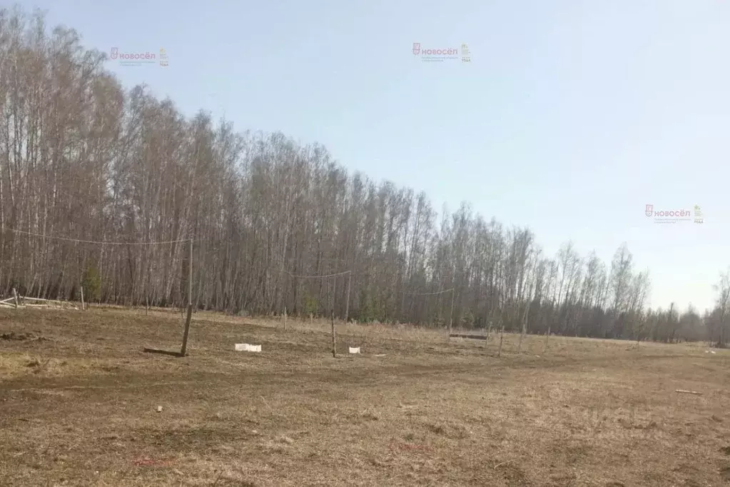Участок в Челябинская область, Каслинский муниципальный округ, д. ... - Фото 1
