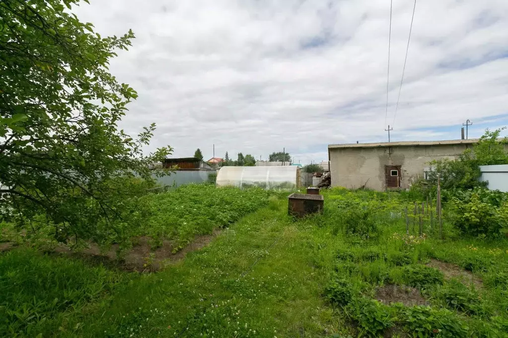 Участок в Тюменская область, Тюменский муниципальный округ, с. Каменка ... - Фото 2