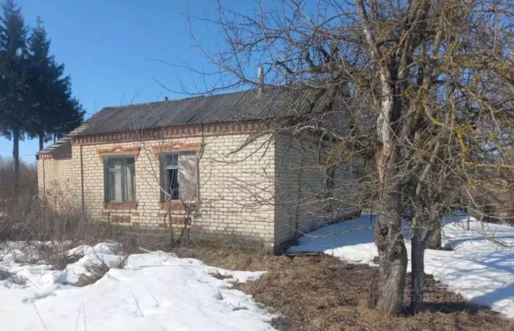 Помещение свободного назначения в Орловская область, Болховский район, ... - Фото 1