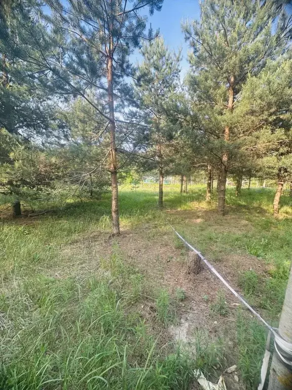 Участок в Московская область, Орехово-Зуевский городской округ, д. ... - Фото 1
