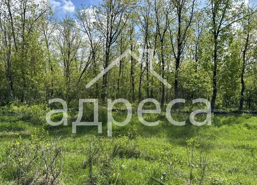 Участок в Самарская область, Красноярский район, Старая Бинарадка ... - Фото 2
