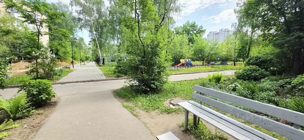 1-к кв. Московская область, Лосино-Петровский ул. Чехова, 4 (31.6 м) - Фото 2
