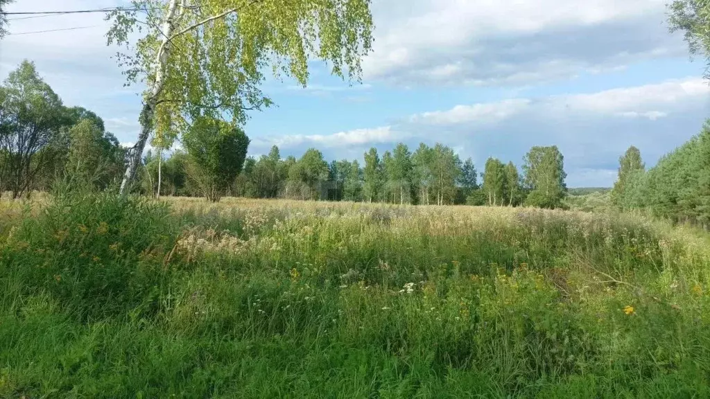 Участок в Калужская область, Мосальский район, Раменский с/пос, д. ... - Фото 1