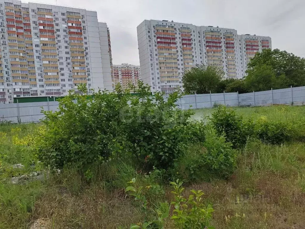 Участок в Ростовская область, Ростов-на-Дону Защитник садовое ... - Фото 2