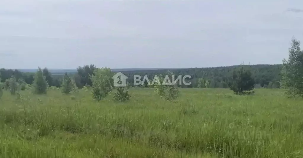 Участок в Нижегородская область, Богородский муниципальный округ, ... - Фото 1