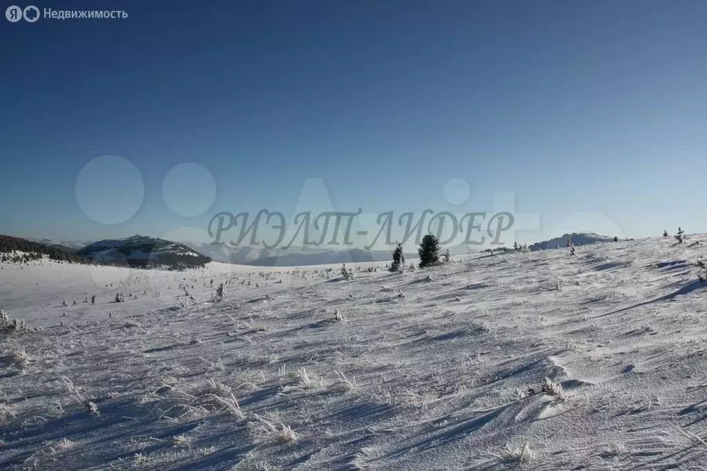 Участок в Усть-Коксинский район, село Усть-Кокса (1500 м) - Фото 1