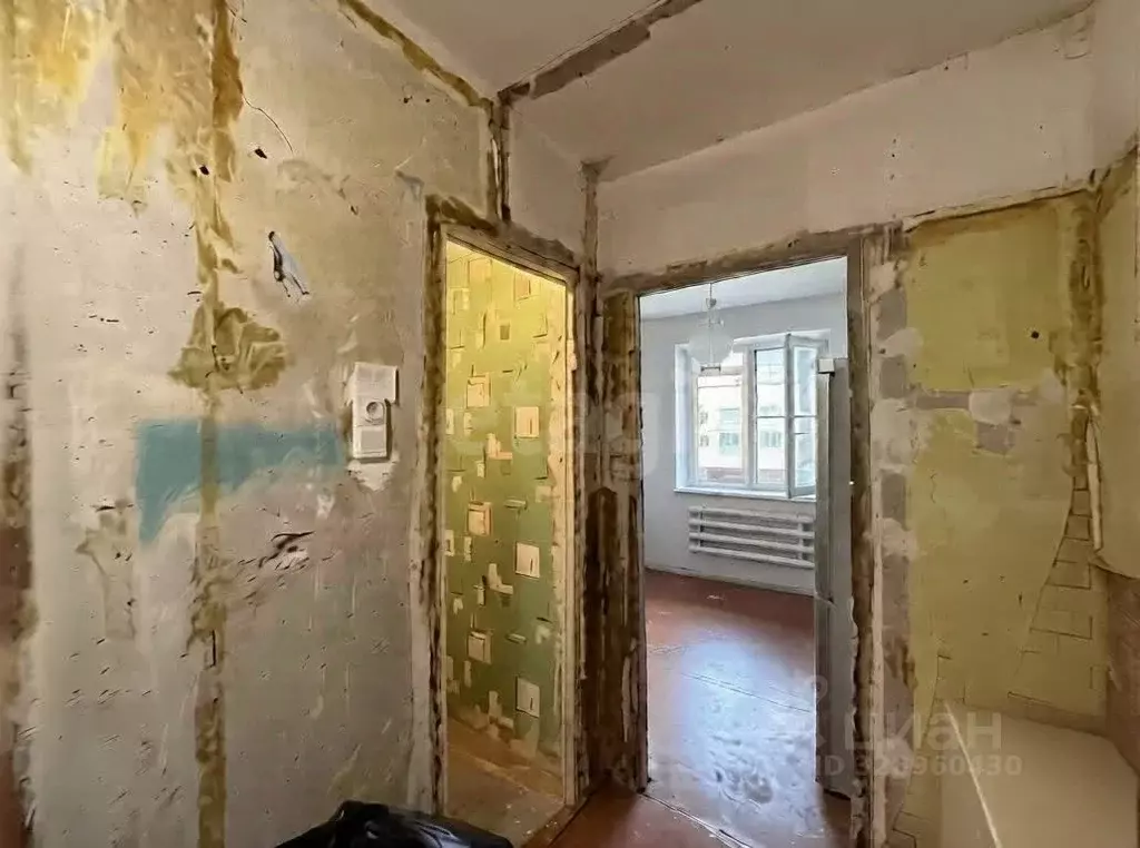 1-к кв. Ленинградская область, Никольское Тосненский район, ... - Фото 2